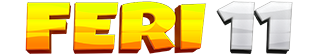 FERI11